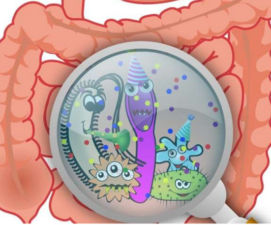 The Gut and Disease