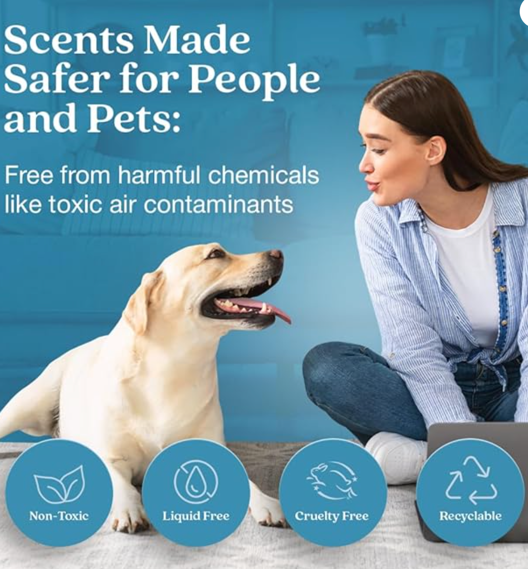 Enviroscent Non Toxic Air Freshener (Rainwater & Bamboo) Plug-in Home Fragrance Last 45+ Days | Kit includes 1 Refillable Plug In Warmer & 1 Scent Refill